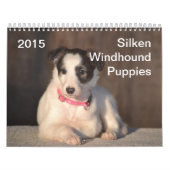 Calendrier Mural 2015 chiots de soie de Windhound (Protection)