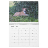 Calendrier Mural 2015 chiots de soie de Windhound (Mar 2027)