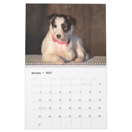 Calendrier Mural 2015 chiots de soie de Windhound (Jan 2027)