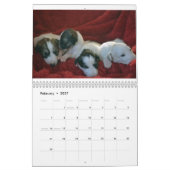 Calendrier Mural 2015 chiots de soie de Windhound (Feb 2027)