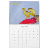 calendrier mural 2015 de Mantidforum.net (Mar 2026)