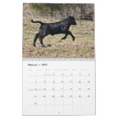 Calendrier Mural 2015 veaux (Feb 2027)