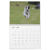 Calendrier Mural 2015 Windhounds de soie dans l'action (Mar 2026)