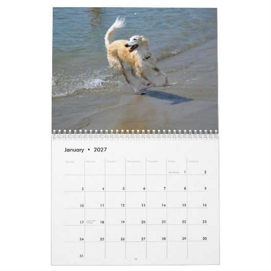 Calendrier Mural 2015 Windhounds de soie dans l'action (Jan 2027)
