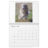 Calendrier Mural 2015 Windhounds de soie dans l'action (Feb 2027)