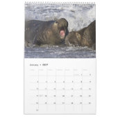 Calendrier mural 2016 de faune - oiseaux et (Jan 2027)