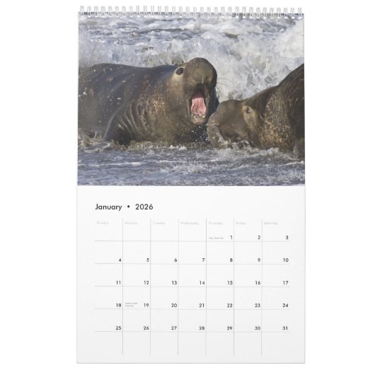 Calendrier mural 2016 de faune - oiseaux et (Jan 2026)