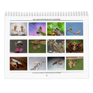 Calendrier mural 2016 de haute résolution de