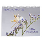 calendrier mural 2016 de mante de prière de (Protection)
