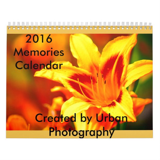 Calendrier Mural 2016 souvenirs (Protection)