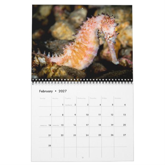 Calendrier Mural 2017 classent sous-marin (Feb 2027)