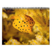 Calendrier Mural 2017 classent sous-marin (Protection)