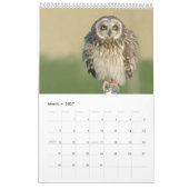 Calendrier mural 2017 pour des amants de hibou (Mar 2027)