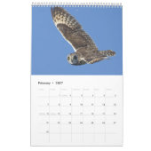 Calendrier mural 2017 pour des amants de hibou (Feb 2027)
