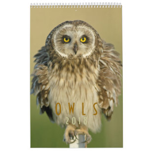 Calendrier mural 2018 d'amants de hibou
