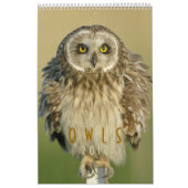 Calendrier mural 2018 d'amants de hibou (Protection)