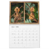 calendrier mural 2018 de Mantidforum.net (Mar 2026)