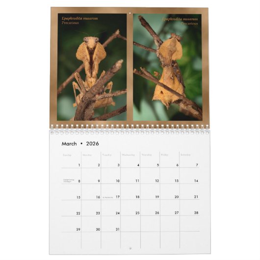 calendrier mural 2018 de Mantidforum.net (Mar 2026)