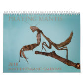 calendrier mural 2018 de Mantidforum.net (Protection)