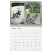 calendrier mural 2018 de Mantidforum.net (Jan 2027)