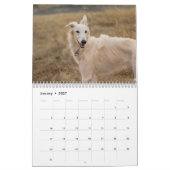 Calendrier Mural 2018 Windhounds de soie (plein corps) 3 (Jan 2027)
