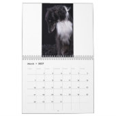 Calendrier Mural 2018 Windhounds de soie (plein corps) 3 (Mar 2027)
