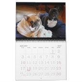 Calendrier Mural 2018times Calendarbook d'archie Brindleton ! ! (Jan 2027)
