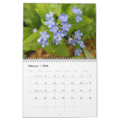 Calendrier Mural 2019 fleurs colorées (Feb 2026)