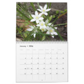 Calendrier Mural 2019 fleurs colorées (Jan 2026)