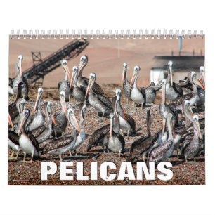 Calendrier mural 2022 de Pélicans
