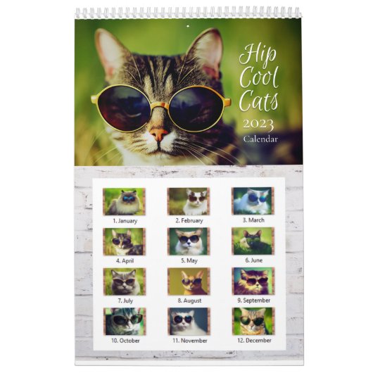 Calendrier mural 2023 Cool de la hanche (Protection)
