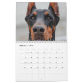 Calendrier Mural 2026 Beaux Dobermans (Feb 2026)
