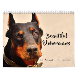 Calendrier Mural 2026 Beaux Dobermans