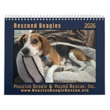 Calendrier Mural 2026 Chiots Beagles SauvÃs