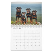 Calendrier mural 2026 de chiens Rottweiler (Jan 2027)