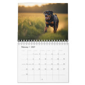 Calendrier mural 2026 de chiens Rottweiler (Feb 2027)