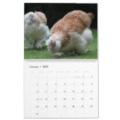 Calendrier mural 2026 Poulets Mignon (Jan 2027)