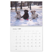 Calendrier mural 2027 Amis chiens Animaux (Jan 2027)