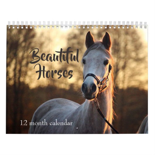 Calendrier Mural 2027 Beaux Chevaux (Protection)