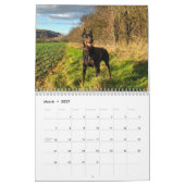 Calendrier Mural 2027 Beaux Dobermans (Mar 2027)