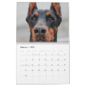 Calendrier Mural 2027 Beaux Dobermans (Feb 2027)