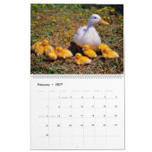 Calendrier Mural 2027 Canetons Mignons (Feb 2027)
