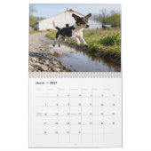 Calendrier mural 2027 des Rat Terriers (Mar 2027)