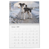 Calendrier mural 2027 des Rat Terriers (Jan 2027)