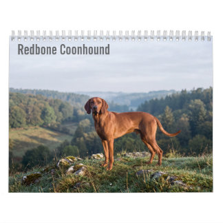 Calendrier mural 2027 des Redbone Coonhounds