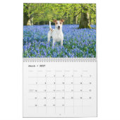 Calendrier Mural 2027 des Terrier Fox Lisses (Mar 2027)