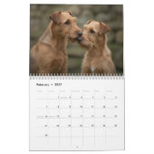 Calendrier mural 2027 des Terriers Irlandais (Feb 2027)