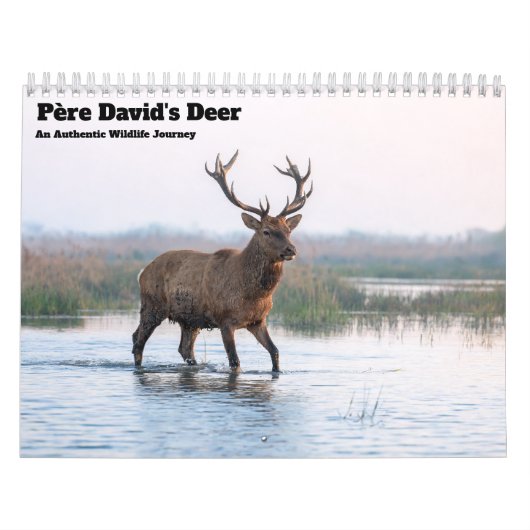 Calendrier mural 2027 du cerf du Père David (Protection)