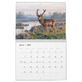Calendrier mural 2027 du cerf du Père David (Mar 2027)