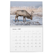 Calendrier mural 2027 du cerf du Père David (Jan 2027)